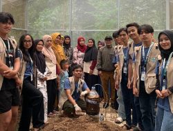 Dorong Ketahanan Pangan, Mahasiswa KKN-T Universitas Majalengka Sulap Limbah Dapur Jadi Pupuk di Desa Gardujaya Ciamis