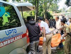 Pekerja Sawit di Subang Tewas Diduga Tersetrum Listrik Tegangan Tinggi