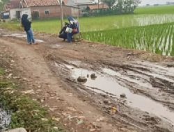30 Tahun Jalan Rusak Tak Diperbaiki, Warga Pinangsari Ciasem Subang Meradang