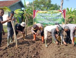 Dukung Program Asta Cita, Polsek Patokbeusi Subang Garap Lahan 950 m² untuk Jagung
