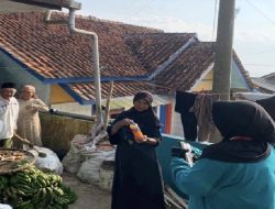 Kurangi Pupuk Kimia, KKN UNMA Kenalkan POC kepada Petani Desa Sagara,  Majalengka