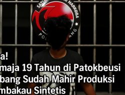 Gila! Remaja 19 Tahun di Subang Sudah Mahir Produksi Tembakau Sintetis untuk Dijual Online