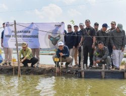 Dahana Tanam 1.000 Mangrove di Pesisir Subang untuk Pelestarian Lingkungan