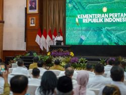 Cihuy! Subang Dapat Bantuan Benih Kopi untuk 200 Hektare dari Kementan
