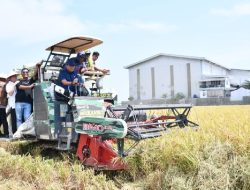 Hari Tani Nasional, Bupati Eman Tegaskan Pertanian Majalengka Surplus