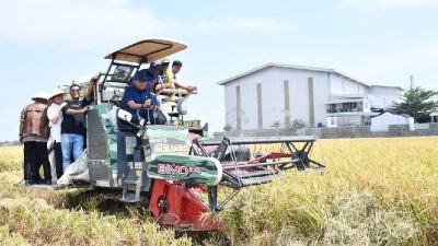 Hari Tani Nasional, Bupati Eman Tegaskan Pertanian Majalengka Surplus