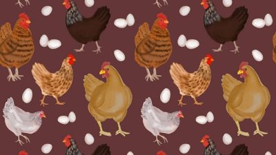 Bisa Jadi Peluang yang Menjanjikan, Berikut 7 Jenis Bisnis Unggas!