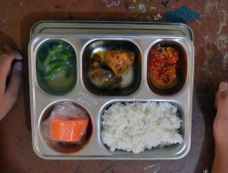 Keracunan Massal Program MBG, Pakar Soroti Lemahnya Keamanan Pangan