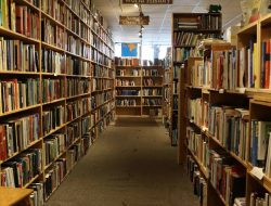 Peran Pustakawan Sangat Krusial Namun Kesejahteraan Masih Terabaikan