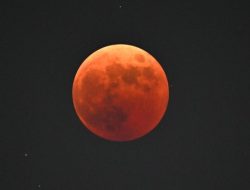 Gerhana Bulan Total Muncul Malam Ini, Kemenag Imbau Salat Khusuf