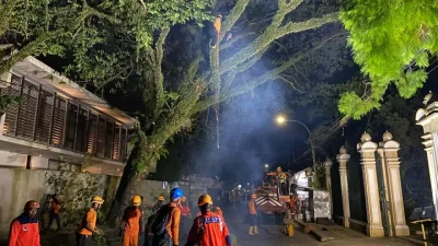 BPBD Kota Tasikmalaya Pangkas Tiga Pohon Rawan Tumbang di Jalan Galunggung