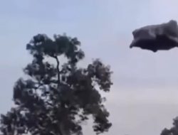 Heboh Busa Hitam Berbau Menyengat di Langit Patokbeusi Subang. Ini kata Dinas LH Jabar 