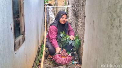 Bikin Geger! Bunga Bangkai Mekar di Pekarangan Warga Baleendah