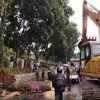 Evakuasi Pohon Tumbang di Ciater Subang, Tim Gabungan Kerahkan Alat Berat