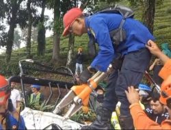 Pohon Tumbang Timpa Mobil di Ciater Subang, Dua Orang Dinyatakan Meninggal Dunia