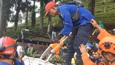 Warga Desak Pemkab Subang Lakukan Mitigasi Pohon Berpotensi Tumbang