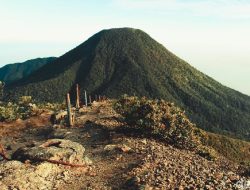 Pendakian Gunung Gede Pangrango Ditutup Sementara untuk Aksi Bersih dan Evaluasi Tata Kelola