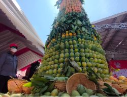Warga Berebut Gunungan Mangga di Festival Buah Mangga Indramayu 2025