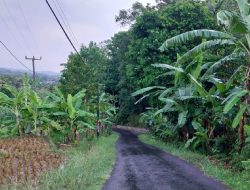 Cerita Penampakan di balik Indahnya Panorama Tanjakan Babakan Kareo Majalengka