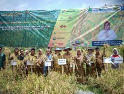 Bikin Bangga! Pelajar SMKN 1 Compreng Jadi ‘Petani Muda’ Penopang Ketahanan Pangan Subang