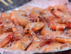Inilah Tips Menyimpan Udang Agar Tetap Segar