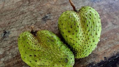 Bisa Tingkatkan Kualitas Tidur, Inilah Manfaat Jus Sirsak untuk Kesehatan Tubuh