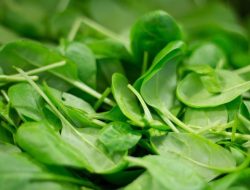 Bisa Dikonsumsi Secara Rutin, Berikut Daftar Sayuran Penurun Darah Tinggi!