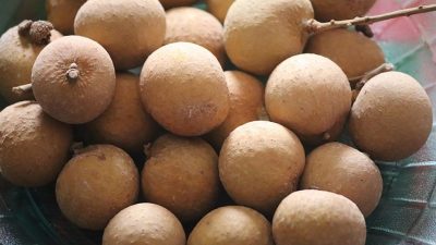 Ini 8 Manfaat Buah Klengkeng untuk Kesehatan, Mulai dari Cegah Anemia hingga Tingkatkan Daya Tahan Tubuh