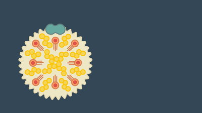 Yuk Kenali Ciri-Ciri Kolesterol Tinggi pada Wanita!