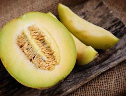 Cegah Dehidrasi dan Jaga Keseimbangan Cairan Tubuh, Berikut Manfaat Buah Melon untuk Kesehatan!