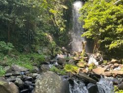 Yuk Nikmati Keindahan Alam dan Agrowisata di Desa Wisata Sukamandi Sagalaherang!