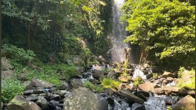 Yuk Nikmati Keindahan Alam dan Agrowisata di Desa Wisata Sukamandi Sagalaherang!