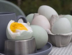 Rasanya Gurih dan Khas, Ini Ragam Manfaat Telur Asin untuk Kesehatan Tubuh