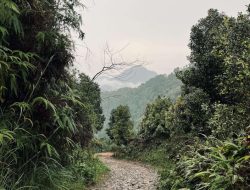 Cisadon, Surga Tersembunyi di Sentul yang Tawarkan Pesona Alam dan Kearifan Lokal