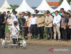 BP Taskin Uji Coba Sistem Pertanian Digital di Cirebon untuk Tekan Kemiskinan