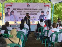 Tanam Jagung di Haniwung, PSI Siap Wujudkan Swasembada Pangan di Subang