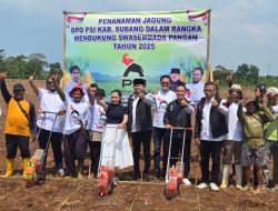 PSI Tanam Jagung di Subang! Abang Ijo: Petani Itu Keren, Bertani Itu Hebat!