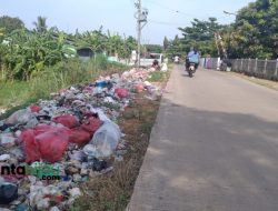Bikin Jijik! Sisi Jalan di Desa Salamjaya Pabuaran Subang Dipenuhi Tumpukan Sampah