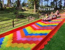 Woodland Kuningan Jadi Destinasi Favorit Karena Penuh Wahana Seru dan Ramah Kantong