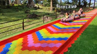 Woodland Kuningan Jadi Destinasi Favorit Karena Penuh Wahana Seru dan Ramah Kantong