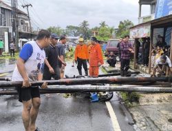 Hujan Deras Disertai Angin Kencang Terjang Tasikmalaya, Sejumlah Pohon Tumbang dan Rumah Rusak