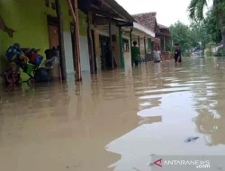 1.164 Rumah di Cirebon Terendam Banjir, BPBD Sebut Dipicu Hujan Ekstrem dan Sedimentasi Sungai