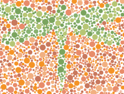 Test Buta Warna, Bisakah Anda Temukan Serangga di Gambar Ini?