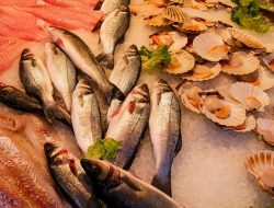 Tak Hanya Digoreng, Ternyata Ikan Bisa Diolah dengan Banyak Cara Berikut Ini!