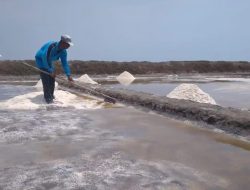 DPRD Jabar Desak Pemerintah Perhatikan Nasib Petambak Garam Cirebon