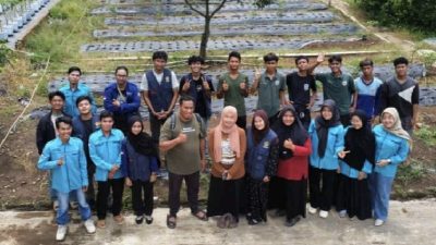 Kolaborasi dengan Petani, Universitas Mandiri Terapkan Hidroponik IoT Bertenaga Surya di Grand Sakina Farm Subang