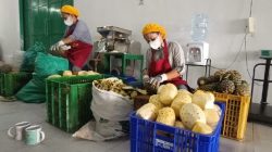 Hilirisasi Nanas Subang, Dompet Dhuafa Resmikan Industri Komunal Olahan Nanas