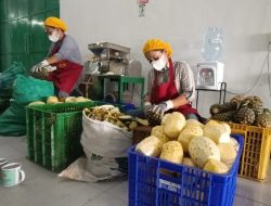 Hilirisasi Nanas Subang, Dompet Dhuafa Resmikan Industri Komunal Olahan Nanas