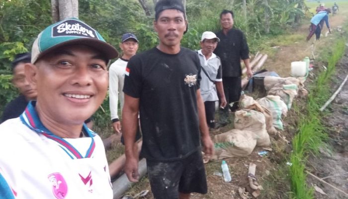 Solokan Pengairan Jebol, Sawah di Tiga Desa di Cikaum Subang Terancam Kehilangan Akses Irigasi