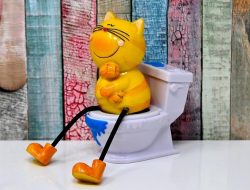 Berikut Tanda-tanda Anak Sudah Siap Melakukan Toilet Training